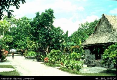 Street in Funafuti