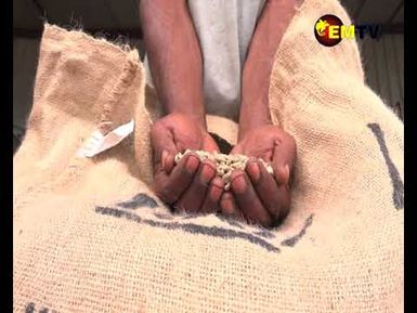 COFFEE EXPORT INCREASE