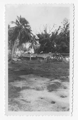 [Bougainville Hut Surrounded by Palm Trees]