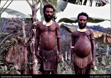 Bogaia men wear string and net aprons, cordyline leaf rear coverings and kina shells, similar to their Duna neighbours in the Highlands but some personal adornment also reflects the influence of lowland cultures