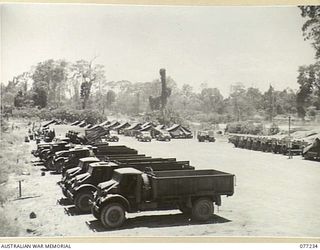 TOROKINA, BOUGAINVILLE ISLAND. 1944-11-25. THE TRANSPORT SECTION AT THE TEMPORARY CAMP OF HEADQUARTERS, 2ND AUSTRALIAN CORPS SOON AFTER THE UNITS ARRIVAL FROM LAE, NEW GUINEA