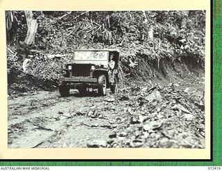 DUMPU AREA, NEW GUINEA. 1944-04-18. A JEEP DRIVEN BY A MEMBER OF THE 15TH FIELD COMPANY, ROYAL AUSTRALIAN ENGINEERS, CLIMBS A STEEP GRADE ON THE ROAD
