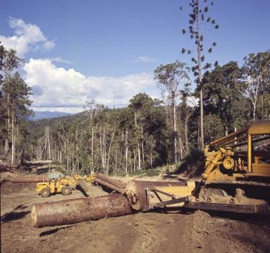 Klinki pine trees being harvested, Bulolo, Morobe Province, Papua New Guinea, approximately 1968 / Robin Smith