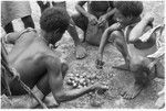 Boys dividing betel (areca) nuts at Foutoru