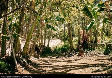 House complexes, Su-abi