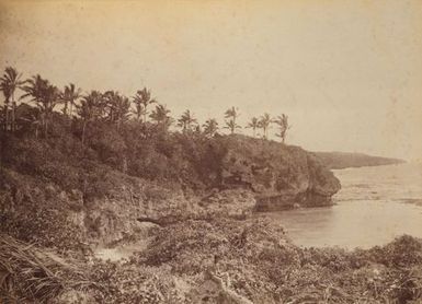 View along the coast Niue. From the album: Views in the Pacific Islands