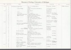 Macrochlamys; denticulata