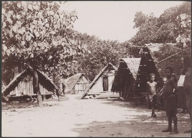 Five buildings in the village of Nerinignam, Mota Lava, Banks Islands, 1906 / J.W. Beattie
