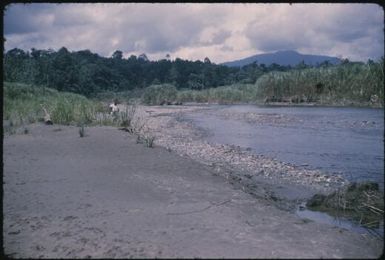 Screw River (anopheline mosquito stream-breeding) (2) : Maprik, Papua New Guinea,1959 / Terence and Margaret Spencer