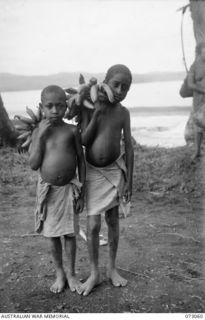 TAMIGUDU AREA, NEW GUINEA. 1944-05-12. TWO TAMIGUDU PICCANINNIES CARRYING BANANAS FROM NATIVE GARDENS TO THE BEACH. A WEEKLY BARGE HAS BEEN CHARTERED FROM LAE TO THE AUSTRALIAN ARMY SERVICE CORPS ..