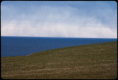 [Coastal landscape, Cape Saunders, Otago Peninsula]