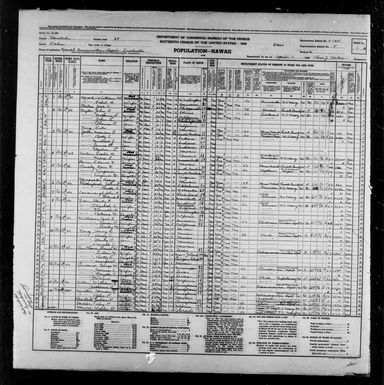 1940 Census Population Schedules - Hawaii - Honolulu County - ED 2-195