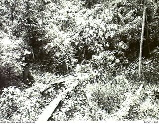 NEW IRELAND, 1945-10. A NEW ZEALAND SERVICEMAN EXAMINING WRECKAGE IN THE JUNGLE. (RNZAF OFFICIAL PHOTOGRAPH.)