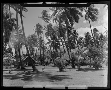 Tropique Hotel, Tahiti, showing huts and palm trees