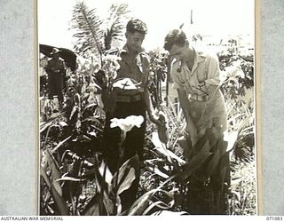 LAE, NEW GUINEA. 1944-03-10. NX116120 GUNNER B. RYAN (1), AND VX57285 SERGEANT W.H. GUY (2), OF "C" TROOP, 2/9TH LIGHT ANTI-AIRCRAFT BATTERY CUTTING CANNAS GROWN BY THE DETACHMENT, TO DECORATE THE ..