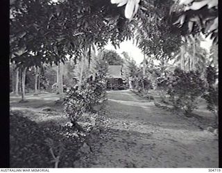 SEGI AREA, NEW GEORGIA, BRITISH SOLOMON ISLANDS PROTECTORATE. C.1944. THE HOUSE OF COASTWATCHER DONALD KENNEDY. (NAVAL HISTORICAL COLLECTION)