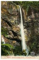 45. - Tahiti. - Cascade de Fautaua, 200 m.