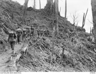 BOUGAINVILLE ISLAND. 1944-12-30. TROOPS OF D COMPANY, 25TH INFANTRY BATTALION MOVING ALONG THE TRACK BETWEEN ARTILLERY HILL AND LITTLE GEORGE HILL DURING THE AUSTRALIAN ATTACK ON JAPANESE POSITIONS ..