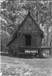 House on raised platform