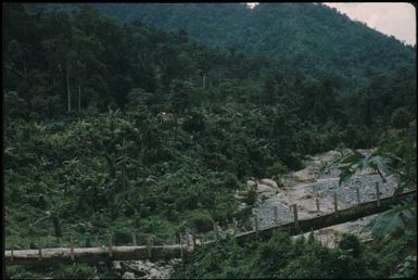 The lower Pinei river valley : Bougainville Island, Papua New Guinea, April 1971 / Terence and Margaret Spencer