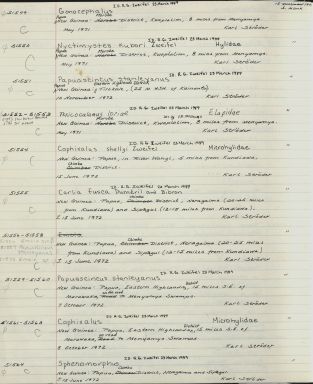 Records 51549-51564 from University of Colorado Museum Herpetology Catalog: no. UCM 42025-51844