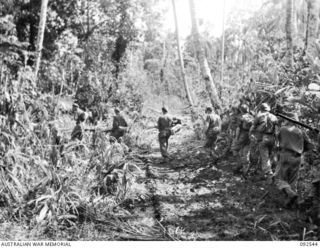 BOUGAINVILLE. 1945-05-24. A PATROL FROM D COMPANY, 26 INFANTRY BATTALION (AUSTRALIAN IMPERIAL FORCE), MOVING THROUGH KUNAI GRASS IN THE RURI BAY AREA, NORTH BOUGAINVILLE. TROOPS OF 11 INFANTRY ..