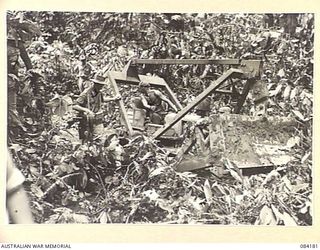 BOUGAINVILLE, SOLOMON ISLANDS. 1944-12-08. 5 AND 11 FIELD COMPANY, ROYAL AUSTRALIAN ENGINEERS TROOPS, WINCHING A BOGGED BULLDOZER TO A TREE AT ITS REAR. THE TREE SUBSEQUENTLY FELL ON THE DOZER ..