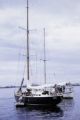 French Polynesia, sailboats anchored off shore of Tahiti Island