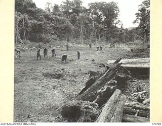 GABENSIS, NEW GUINEA, 1944-03-02. NATIVES WORKING ON THE WAU - LAE ROAD SECTION NEAR GABENSIS