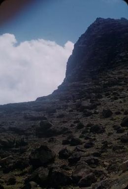 [Mountain slope with lava blocks in Oahu, United States]