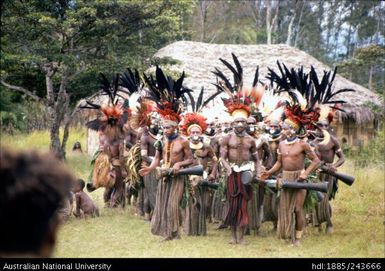 Ceremonial drummers