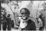 Pig festival, singsing, Kwiop: man with shell valuables and white marsupial fur cap