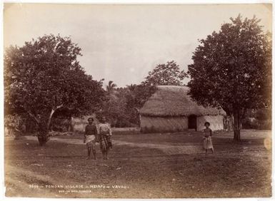 Tongan Village, Neiafu, Vavau