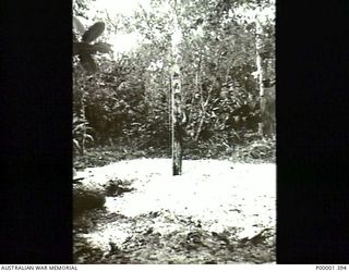 NEW IRELAND, 1945-10. POST, WITH JAPANESE CHARACTERS INSCRIBED, STANDING IN A JUNGLE CLEARING. (RNZAF OFFICIAL PHOTOGRAPH.)