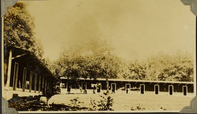 Tuanaimato Rubber Plantation, near Apia?, Samoa, 1928