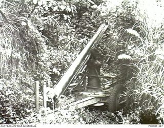 NEW BRITAIN, 1945-09. A JAPANESE ARTILLERY TRAILER ALMOST LOST IN THE JUNGLE ON THE GAZELLE PENINSULA. (RNZAF OFFICIAL PHOTOGRAPH.)