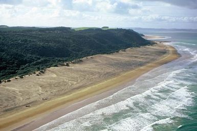 Poutō, te kūrae o Kaipara.