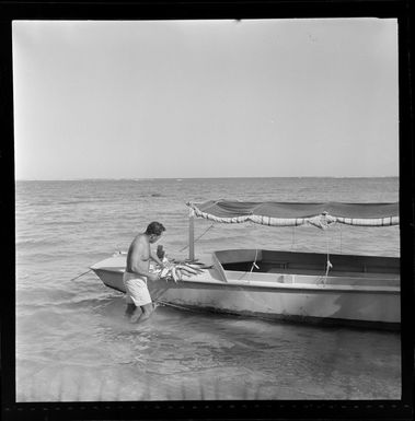 Unidentified man stands in the shallow waters beside a boat with his catch of fish, Fiji