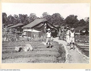 LAE, NEW GUINEA. 1945-11-3. THE CAMP ORDERLY ROOM AND THE PRISONER OF WAR TENT LINES, AT NO 3 DETACHMENT, 20 PRISONER OF WAR CAMP, LAE