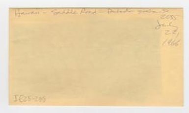 [Dubautia scabra in Hawaii, envelope IE25-288]