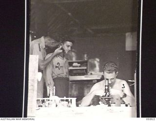 REINHOLD HIGHWAY, NEW GUINEA. 1943-07-08. STAFF SERGEANT D. J. SMITH, PATHOLOGIST, EXAMINES A SLIDE, WHILE SX22302 CAPTAIN J. FAIRLEY EXAMINES A PATIENT, QX35021 PRIVATE V. J. MCAULIFFE, AT THE ..