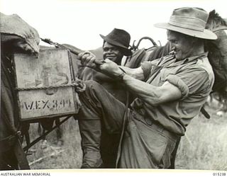 This Transport Unit carries stores to men at forward areas over some of the roughest country in New Guinea. Pictured is VX25169 Private Gordon Reynolds, 2/6th Battalion, of Corryong, Vic, loading a ..