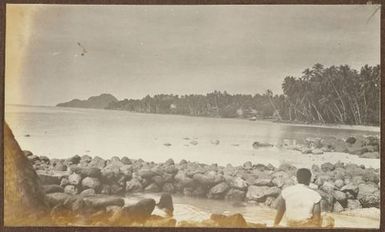 View of bay from rocky shoreline. From the album: Samoa