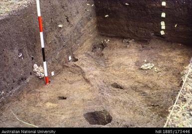 SAD/I, West end of South profile showing gully 28 and post hole, looking South