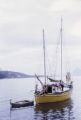 French Polynesia, sailboat anchored off shore of Tahiti Island