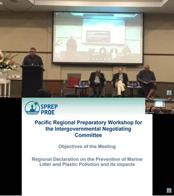 Intergovernmental Negotiating Committee Preparatory Workshop – Day 1