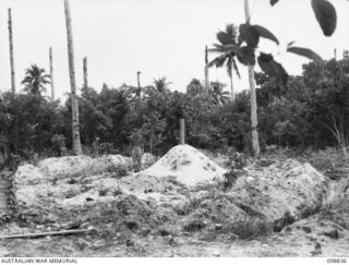 BALLALAE ISLAND, BOUGAINVILLE AREA. 1945-11-10. THE GRAVES OF ALLIED SOLDIERS KILLED BY THE JAPANESE. IT IS BELIEVED THAT BETWEEN 300 AND 800 ALLIED PRISONERS OF WAR WERE KILLED BY THE JAPANESE ..