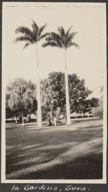Botanic Gardens?, Suva, 1930