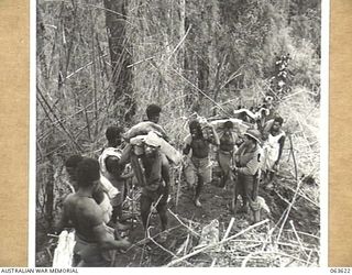 SHAGGY RIDGE, NEW GUINEA. 1944-01-20. NATIVE CARRIERS ARRIVING AT THE RIDGE WITH RATIONS AND AMMUNITION FOR THE 2/9TH INFANTRY BATTALION BEING ESCORTED BY QX31266 PRIVATE J. E. MARTIN