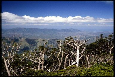 View west from summit (1630 m)